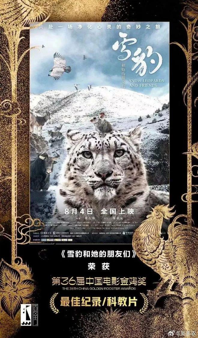 年度人物感动事迹_年度人物精神品质_明星热点人物资讯类推文怎么写,